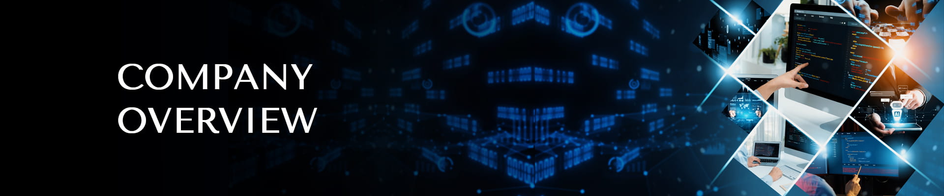 Company-Overview